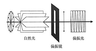 图5偏振镜工作原理